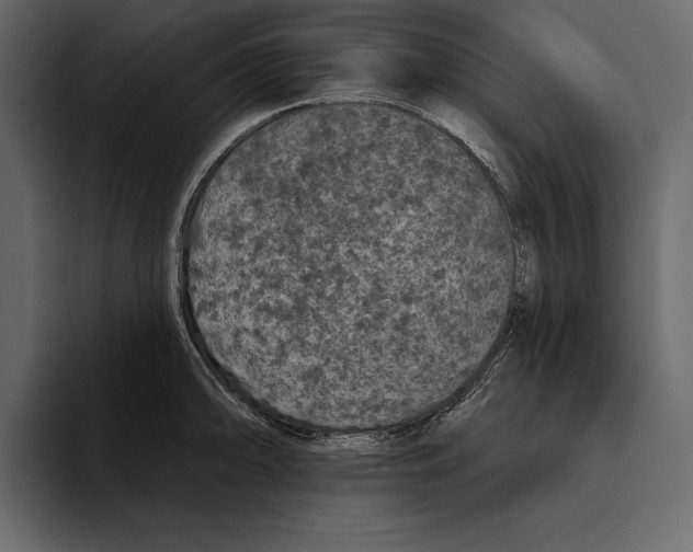 X0000094791094200712141633