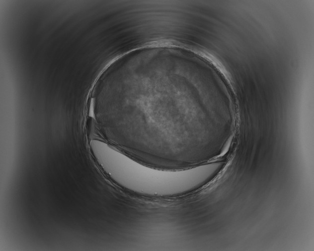 X0000094791097200712141633