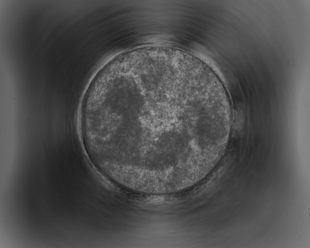 X0000094791098200712141633