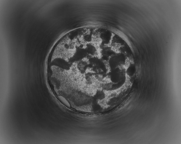 X0000094791099200712141633