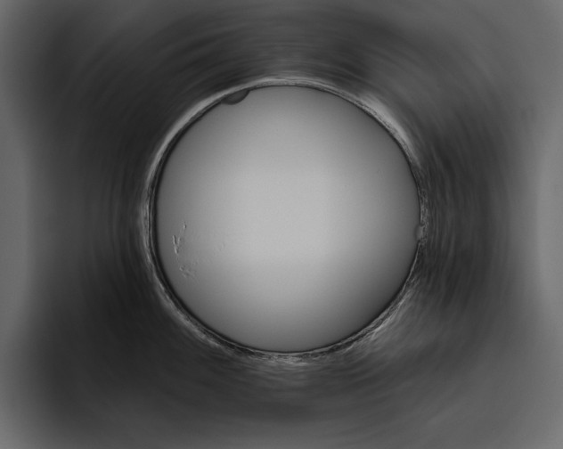 X0000094791100200712141633