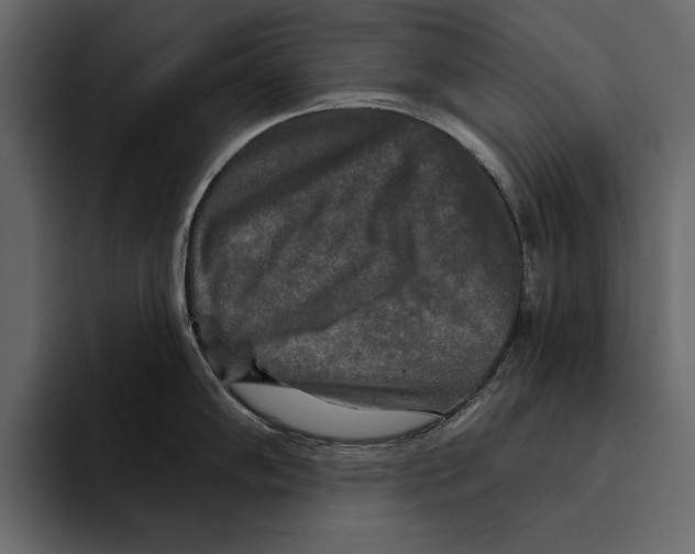 X0000094791102200712141633