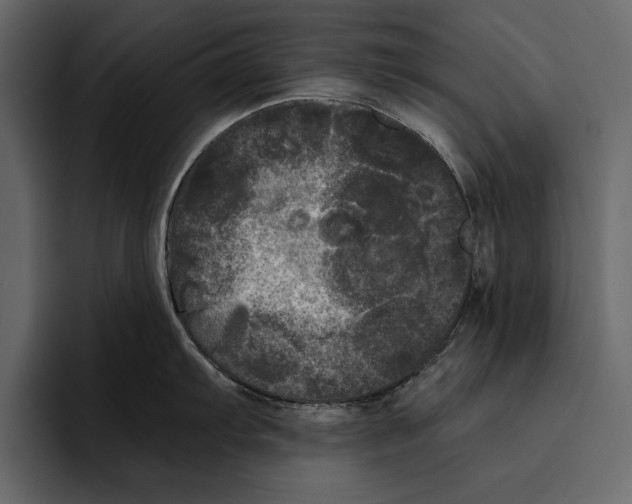 X0000094791103200712141633