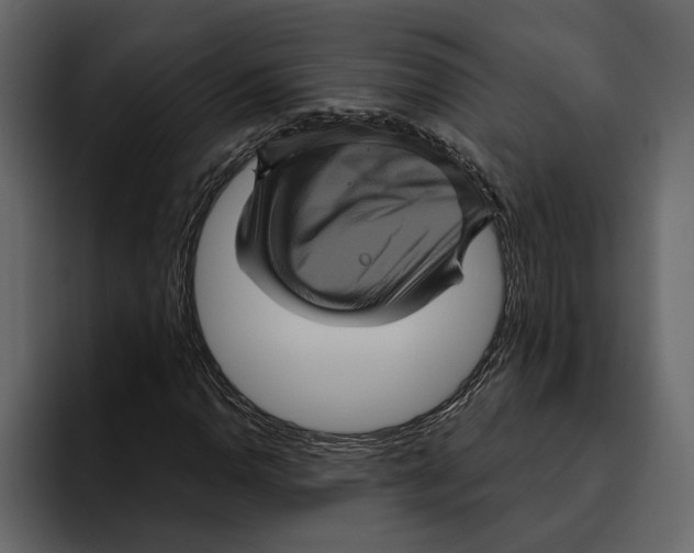 X0000094791110200712141632