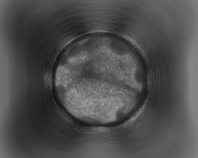 X0000094791113200712141632