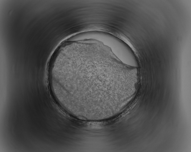 X0000094791116200712141632