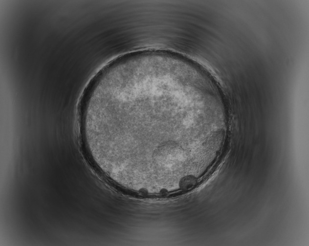 X0000094791118200712141632