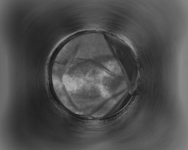 X0000094791120200712141632