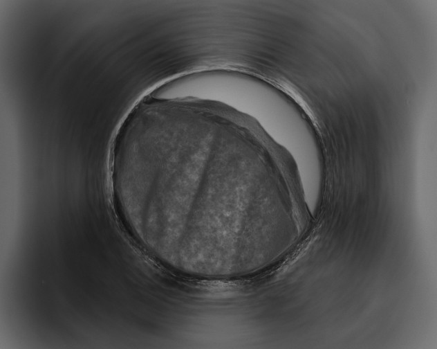 X0000094791124200712141632