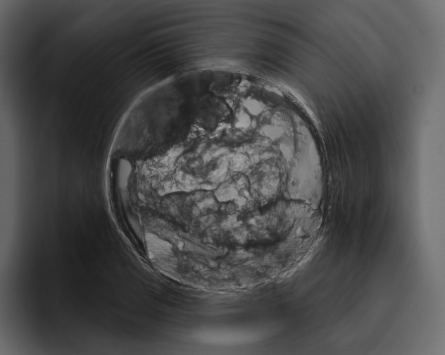 X0000094791125200712141632