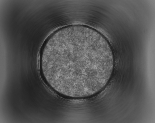 X0000094791126200712141632