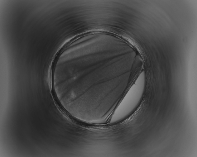 X0000094791127200712141632