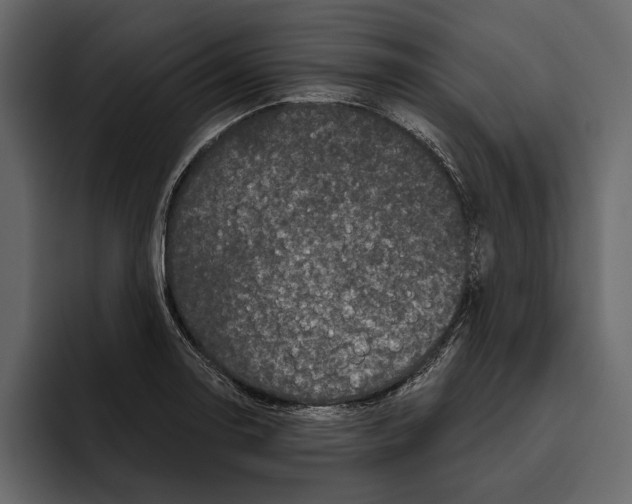 X0000094791130200712141632