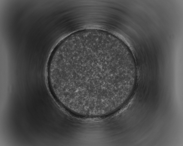 X0000094791133200712141632