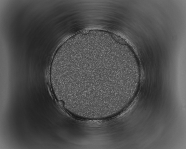 X0000094791137200712141632