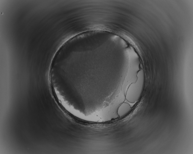 X0000094791141200712141632