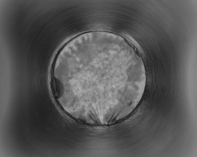 X0000094791144200712141632