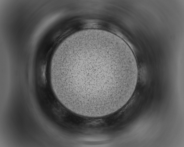 X0000094791150200712141633