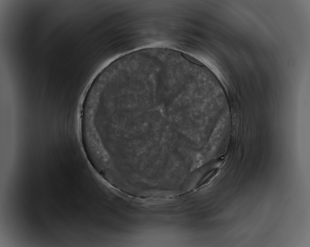 X0000094791151200712141633