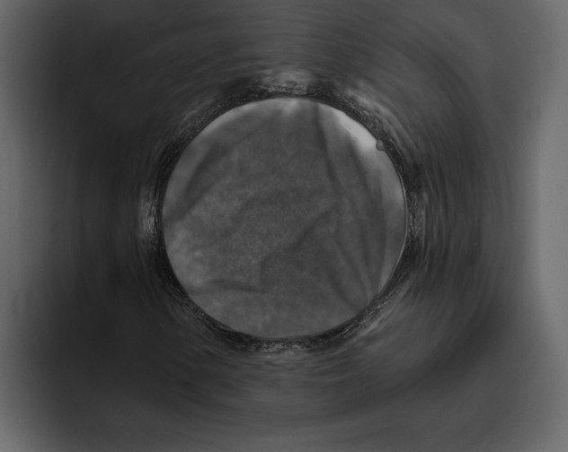 X0000094791154200712141632