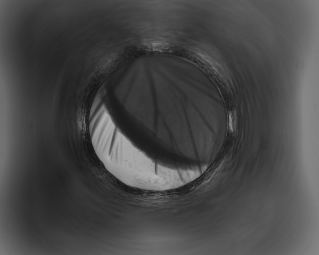 X0000094791155200712141632