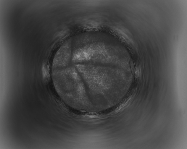 X0000094791156200712141632