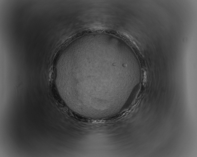 X0000094791157200712141632