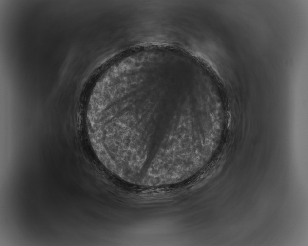 X0000094791159200712141632