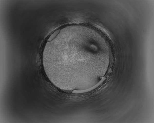 X0000094791160200712141632