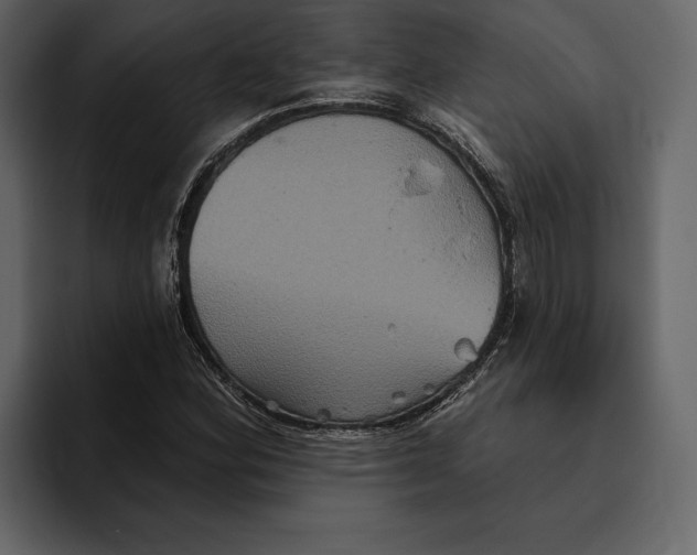 X0000094791164200712141632