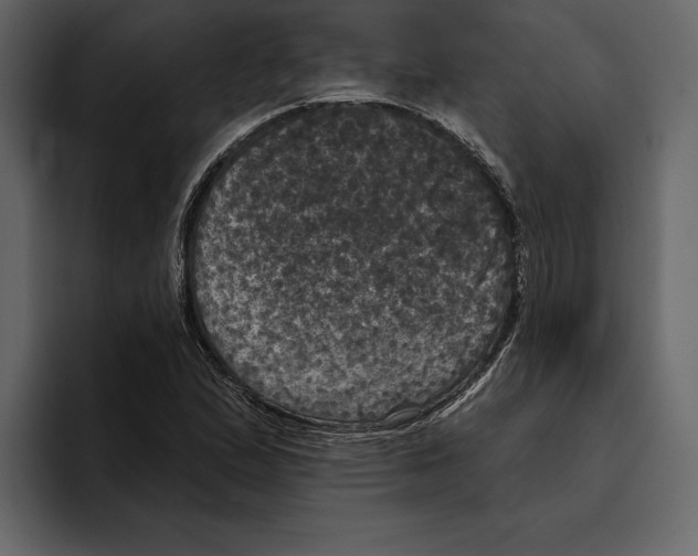 X0000094791167200712141632