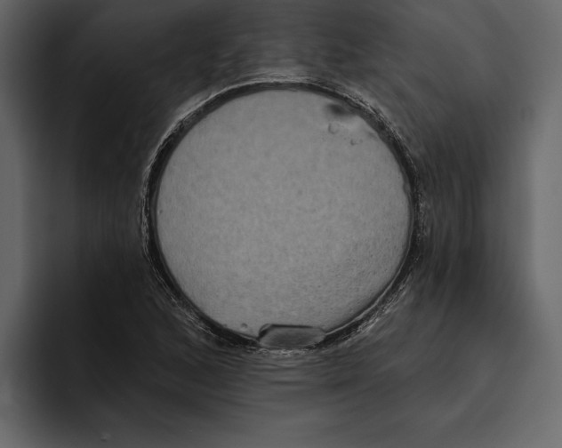 X0000094791168200712141632