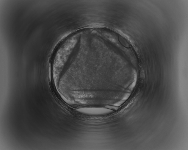 X0000094791171200712141632