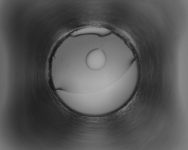 X0000094791172200712141632