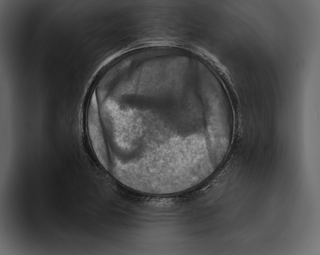 X0000094791174200712141632