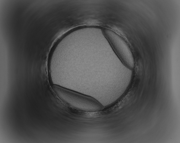 X0000094791176200712141632