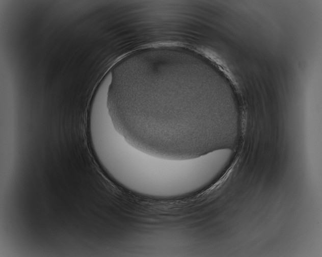 X0000094791177200712141632