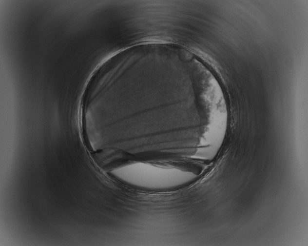 X0000094791179200712141632