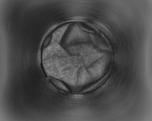 X0000094791180200712141632