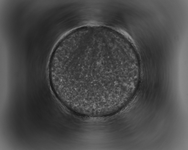 X0000094791183200712141632