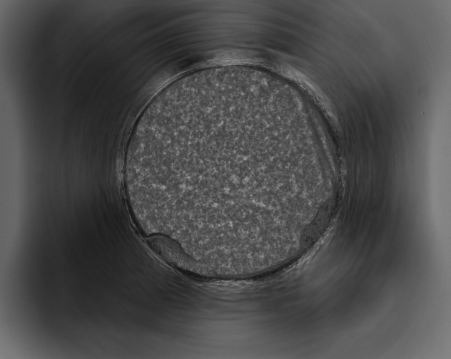 X0000094791185200712141631