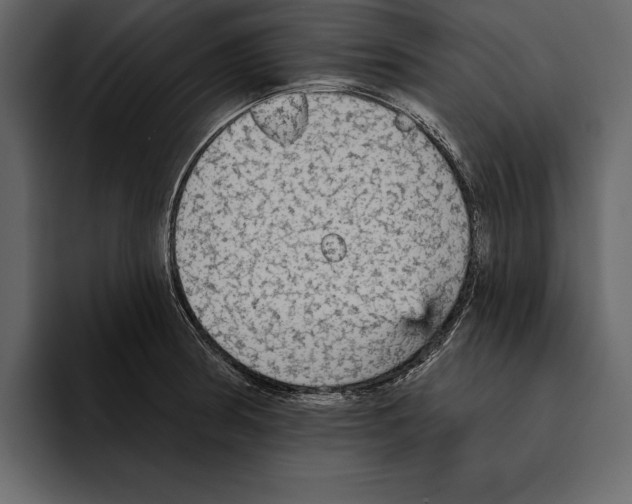 X0000094791186200712141631