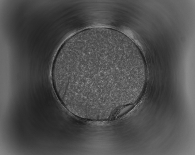 X0000094791189200712141631