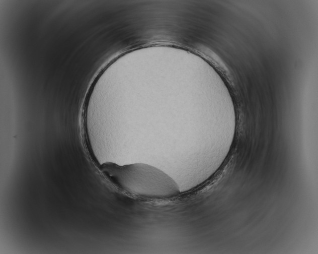 X0000094791190200712141631