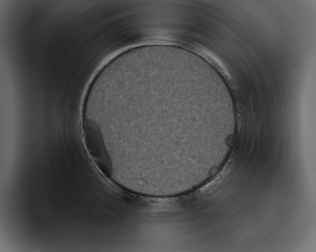 X0000094791192200712141631