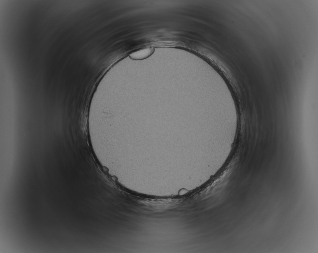 X0000094791193200712141631