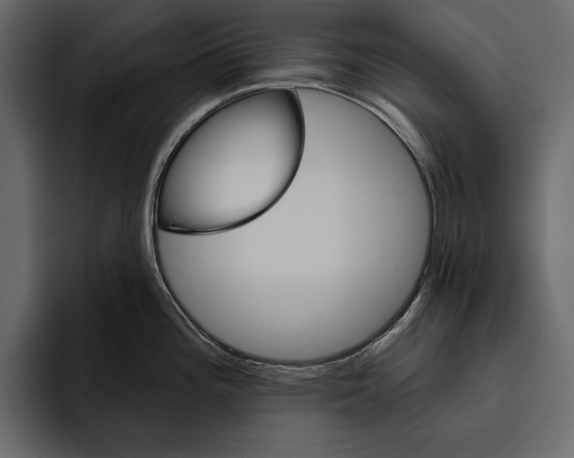 X0000094791196200712141631