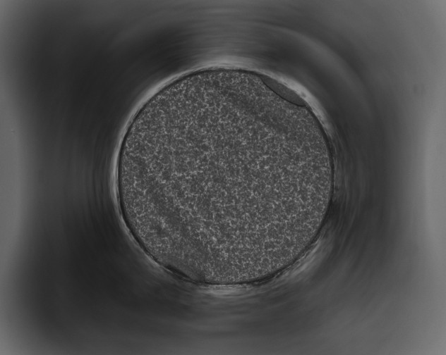 X0000094791199200712141631