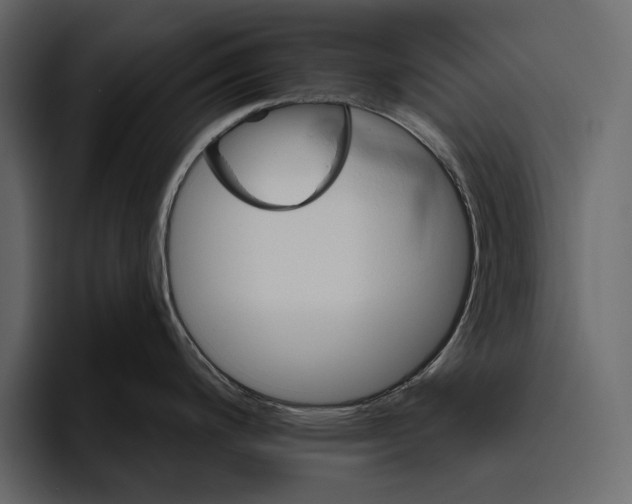 X0000094791200200712141631