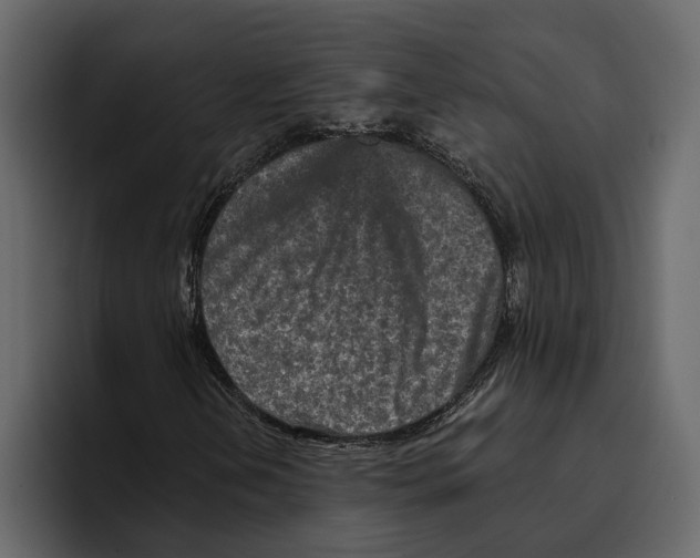 X0000094791202200712141631